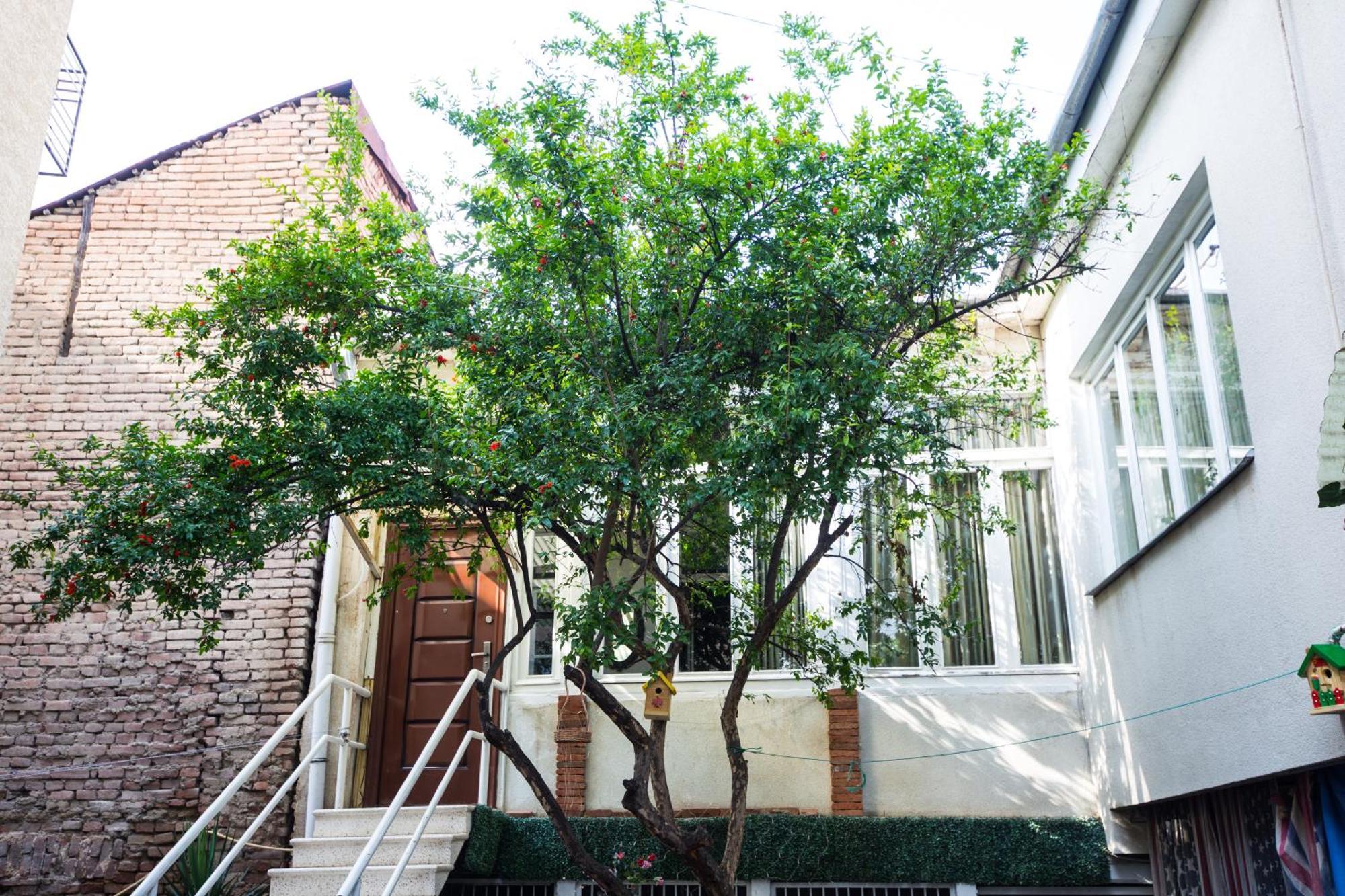 Sophie'S Garden Hotel Tbilisi Ngoại thất bức ảnh